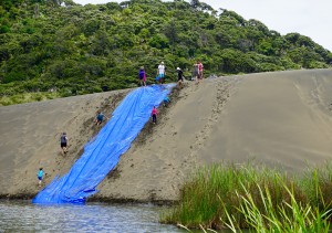 Sandboarding at Lake Wainamu Reserve, Bethells Beach, New Zealand