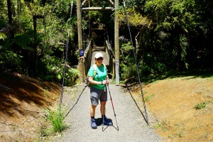 Foot Bridge in Cascade Kauri