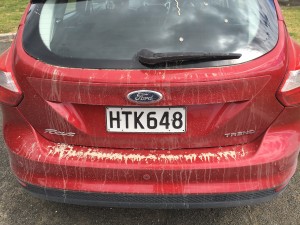 Wheels for the next 4 months