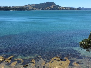 View across Flaxmill Bay