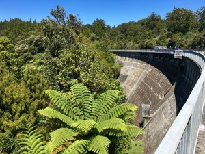 Waitakere Dam