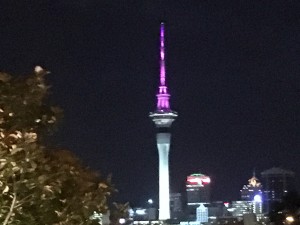 Sky Tower at New Years 2016
