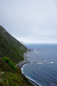 DSC01650