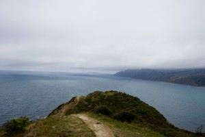 DSC01663