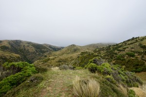 DSC01666