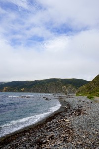 DSC01706