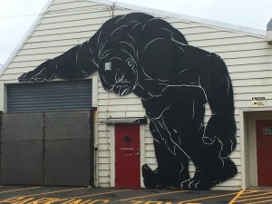 IMG_2719