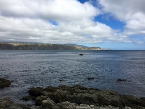 IMG_2785