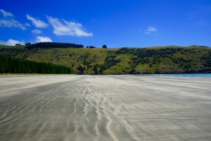 DSC02281