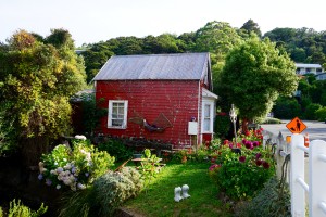 DSC02329