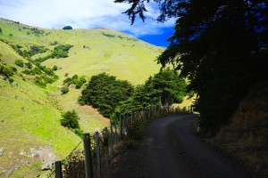 DSC02446