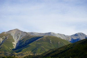 DSC02461