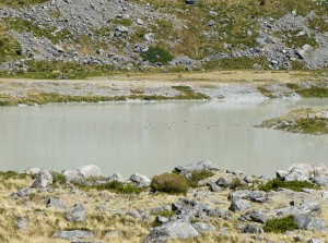 DSC02927
