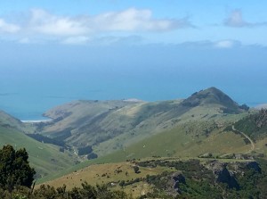 IMG_3115