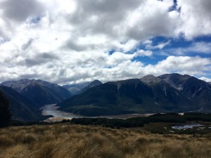 IMG_3141