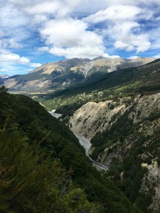 IMG_3161
