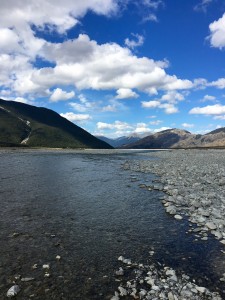 IMG_3167