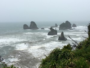 IMG_3173