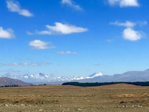 IMG_3238