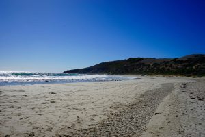 DSC05986