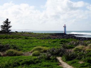DSC07337
