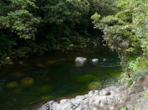 Swimming at Mossman Creek