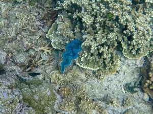 Frame-10-07-2016-11-55-39