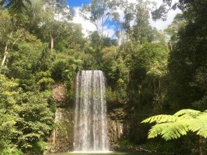 18 metre falls in Atherton Tablelands