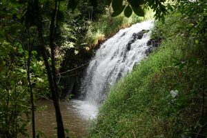 Pepina Falls