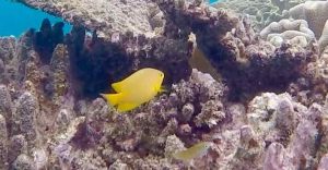 Frame-31-07-2016-06-37-21