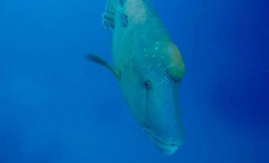 Frame-31-07-2016-06-55-59