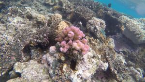 Frame-31-07-2016-07-46-20