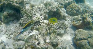 frame-09-10-2016-09-25-46