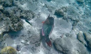 frame-09-10-2016-09-27-14