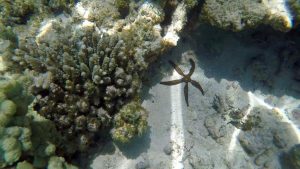 frame-09-10-2016-09-43-06