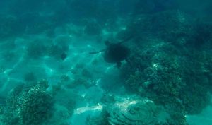 frame-09-10-2016-11-11-03